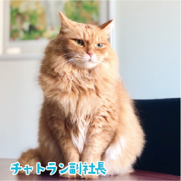 チャトラン副社長