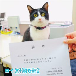 ロイ常務取締役