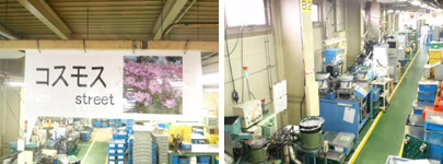コスモス・ストリート