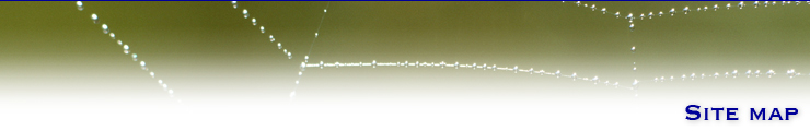 サイトマップ