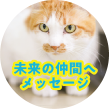 未来の仲間へメッセージ