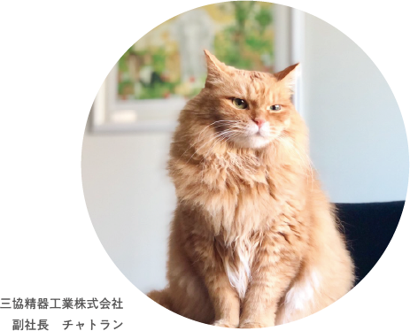 副社長チャトラン